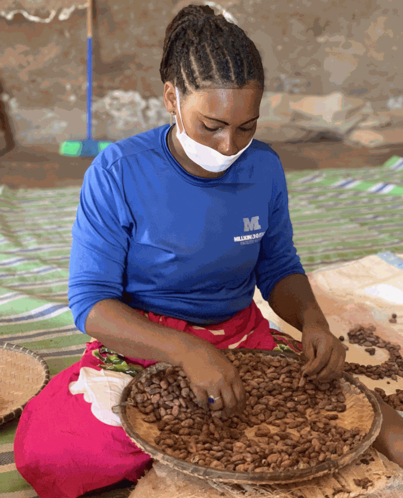 Récolte de cacao Madagascar